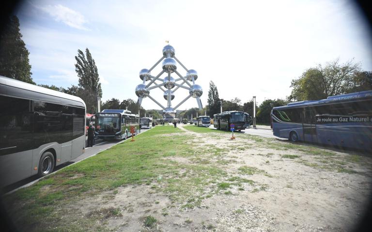 brussels
