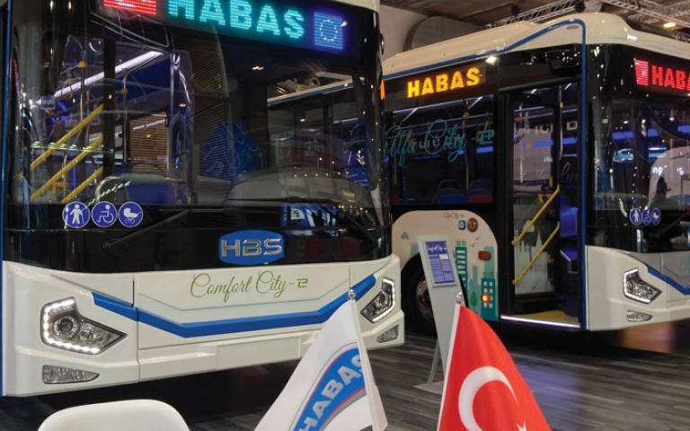 Habas